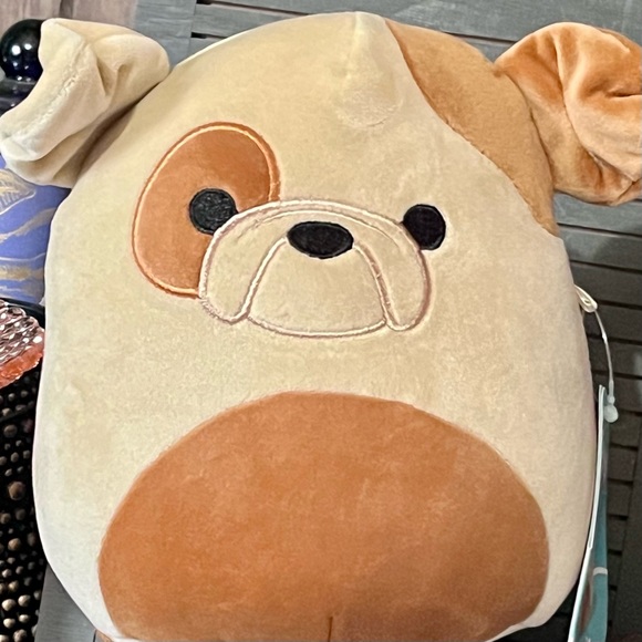 NWT Griz The Bulldog Squishmallow Stuffed Plush Collectible Toy - Picture 3 of 8